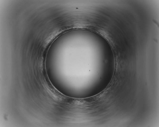 X0000099550346200805161457