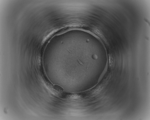 X0000099550348200805161457