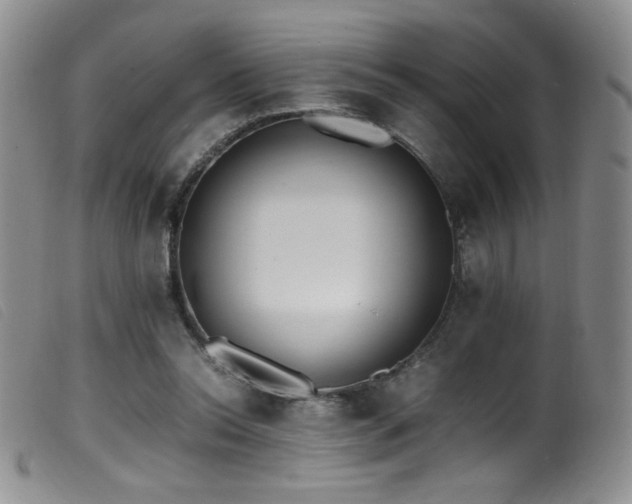 X0000099550350200805161457