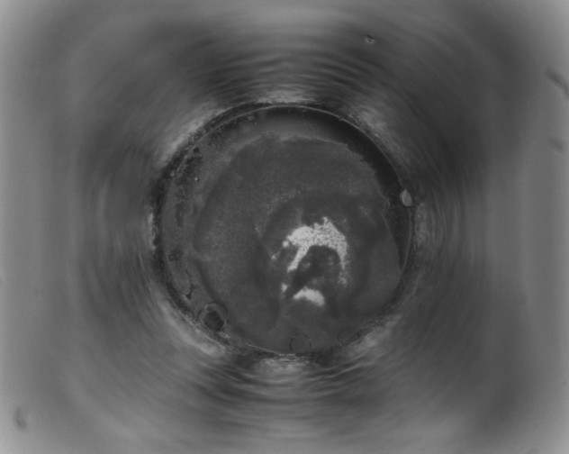 X0000099550351200805161458