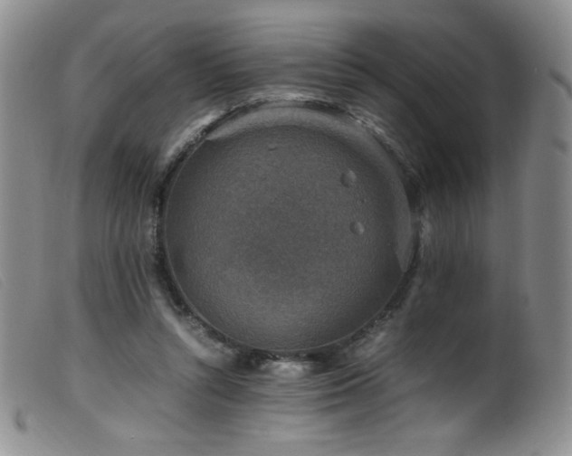 X0000099550352200805161458