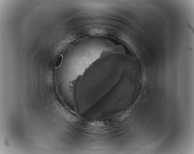 X0000099550353200805161458