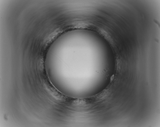 X0000099550354200805161458