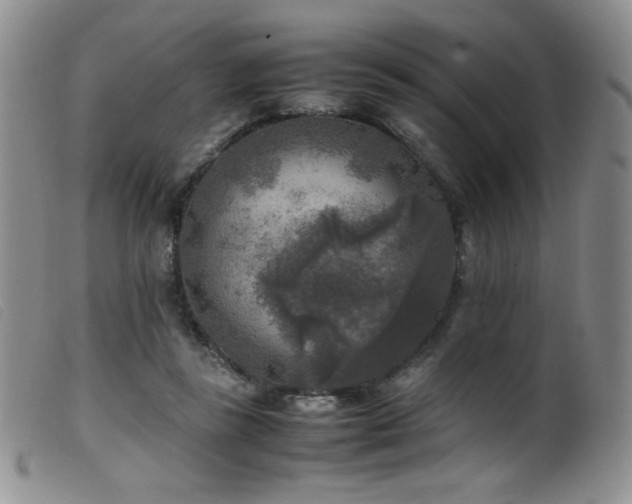 X0000099550355200805161458