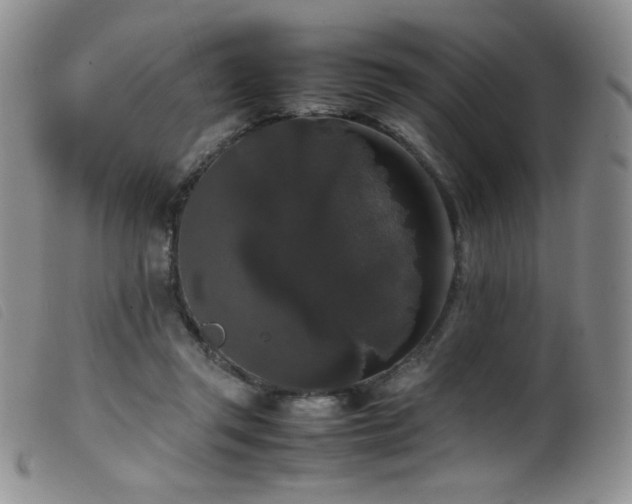 X0000099550357200805161458