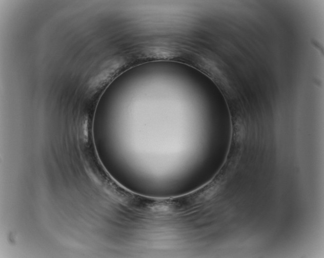 X0000099550358200805161458
