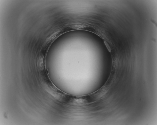 X0000099550360200805161458