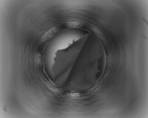 X0000099550361200805161458