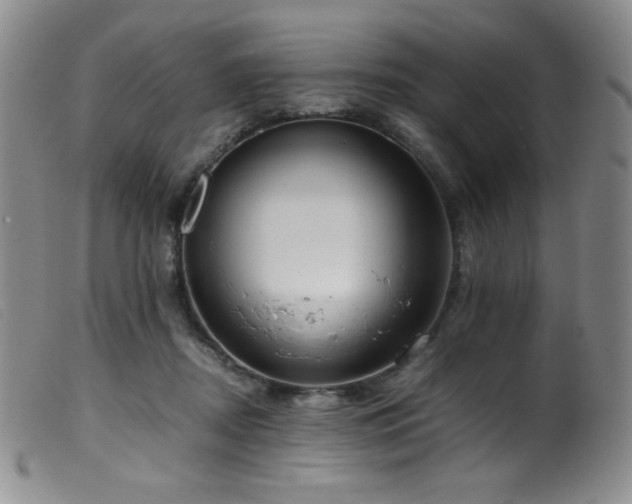 X0000099550362200805161458