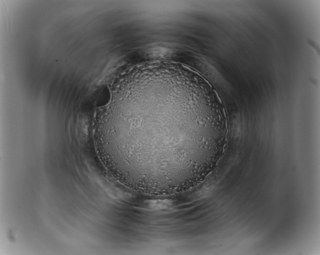 X0000099550363200805161458