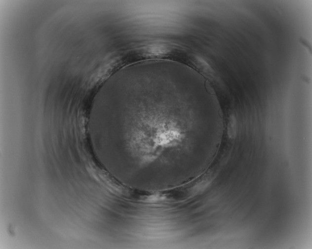 X0000099550366200805161458