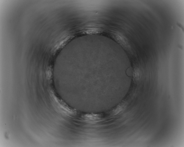 X0000099550367200805161458
