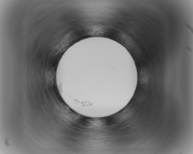 X0000099550370200805161458
