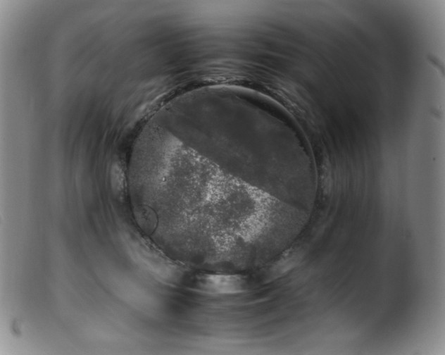 X0000099550371200805161458
