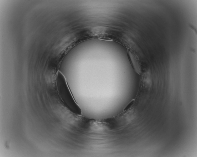 X0000099550372200805161458