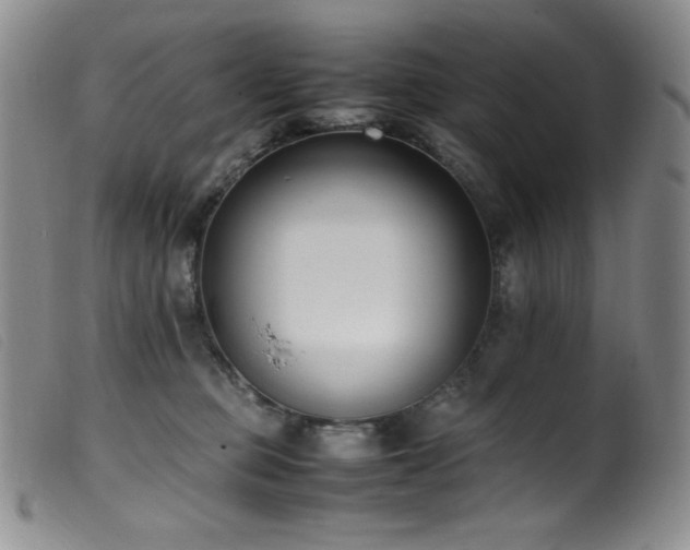 X0000099550373200805161458