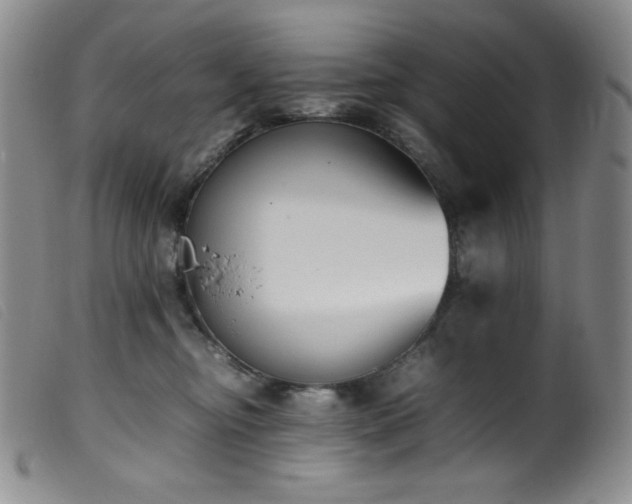 X0000099550374200805161458