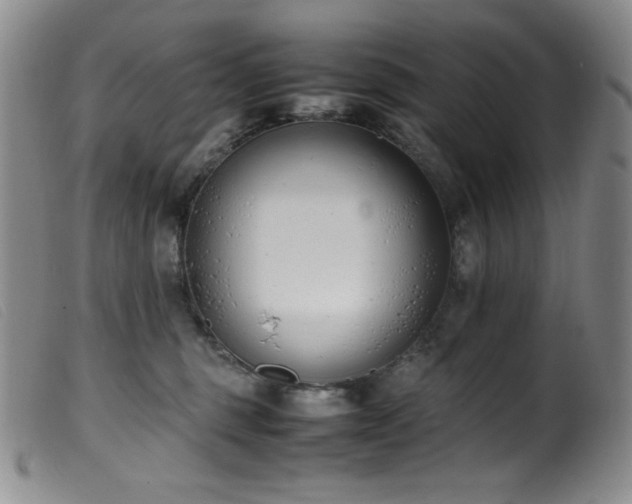 X0000099550375200805161458