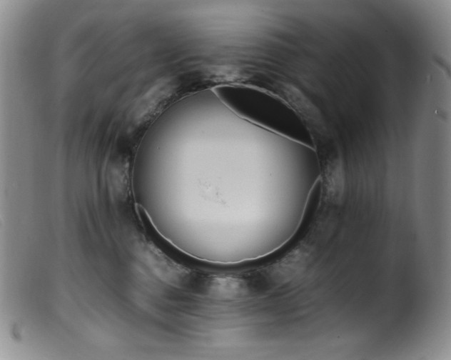 X0000099550376200805161458