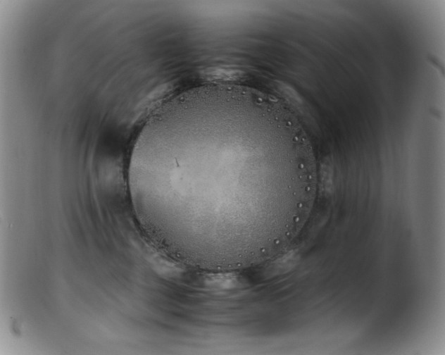X0000099550377200805161458