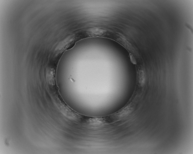 X0000099550378200805161458