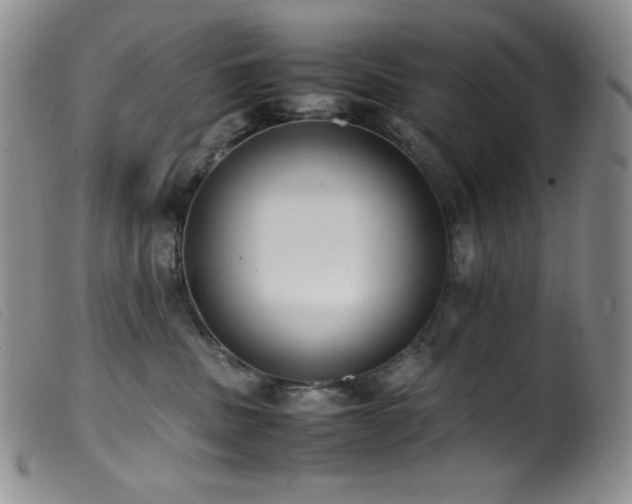 X0000099550379200805161458