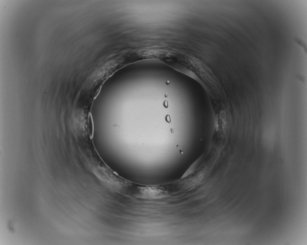 X0000099550380200805161458