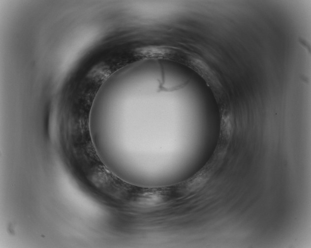 X0000099550381200805161458