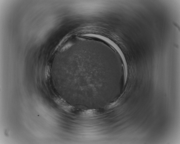 X0000099550382200805161458