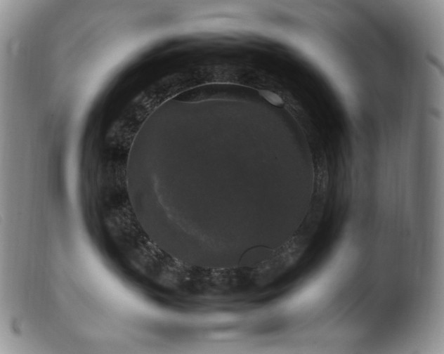 X0000099550383200805161458