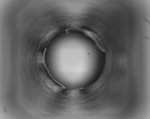 X0000099550384200805161458