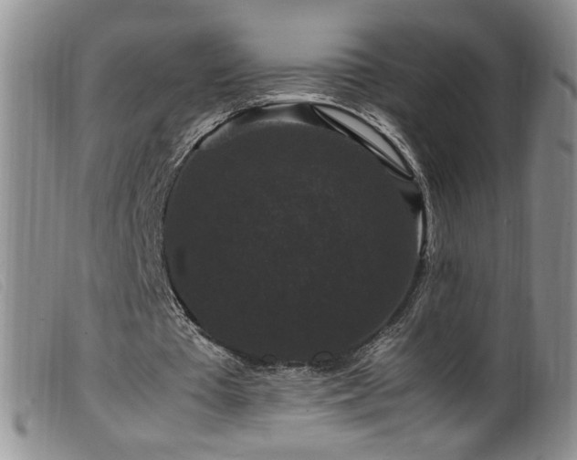 X0000099550385200805161457