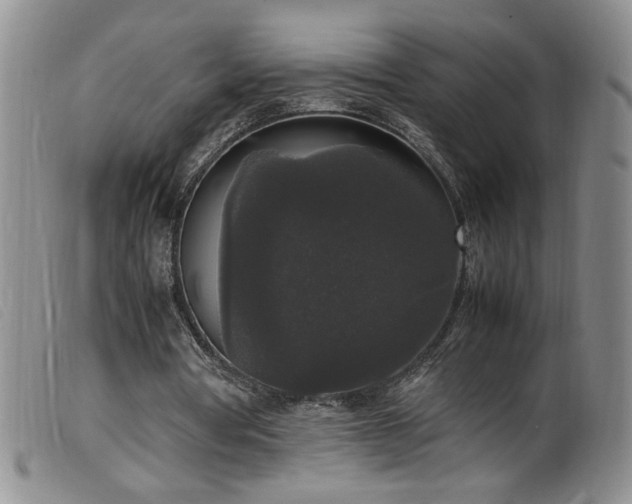 X0000099550386200805161457