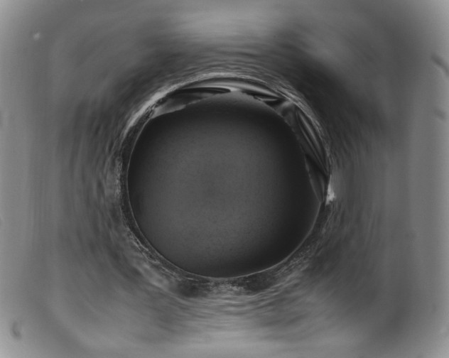 X0000099550387200805161457