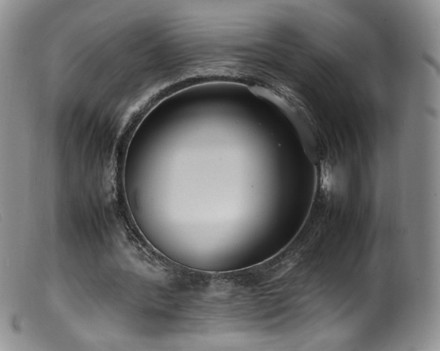 X0000099550388200805161457