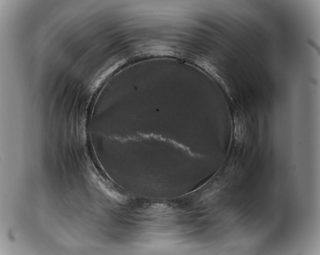 X0000099550390200805161457