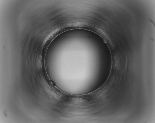 X0000099550392200805161457