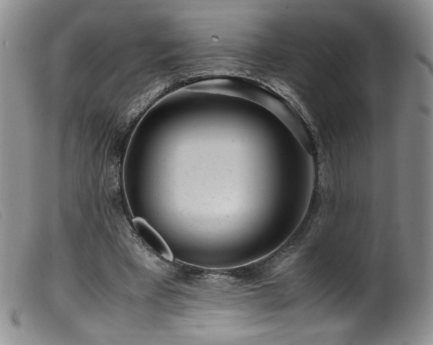 X0000099550393200805161457