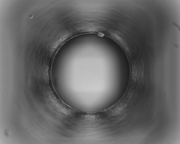 X0000099550394200805161457
