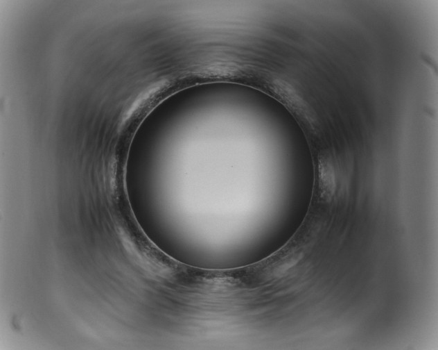 X0000099550396200805161457