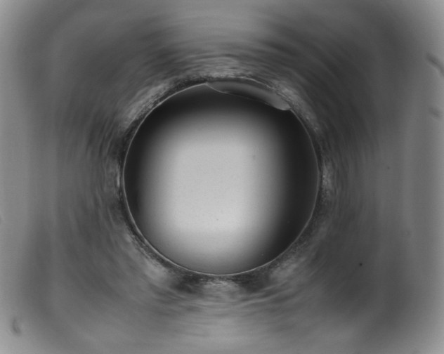 X0000099550397200805161457