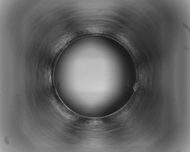 X0000099550398200805161457