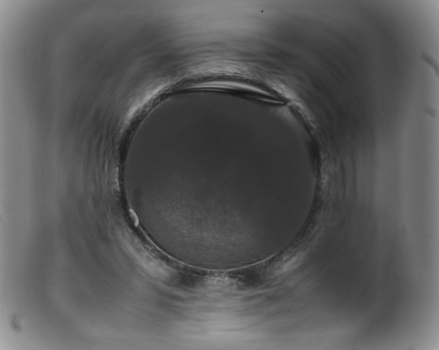 X0000099550399200805161457