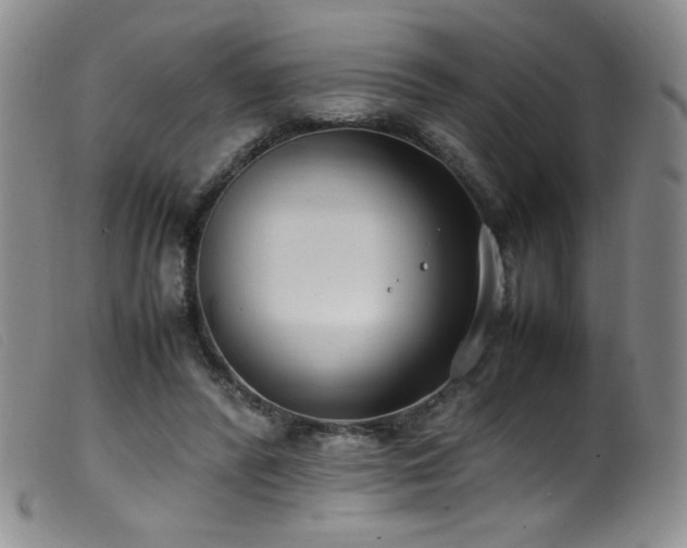X0000099550400200805161457