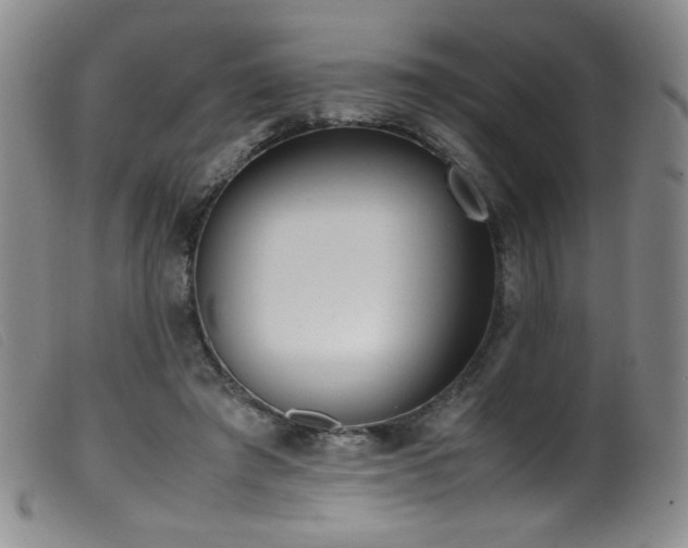 X0000099550401200805161457