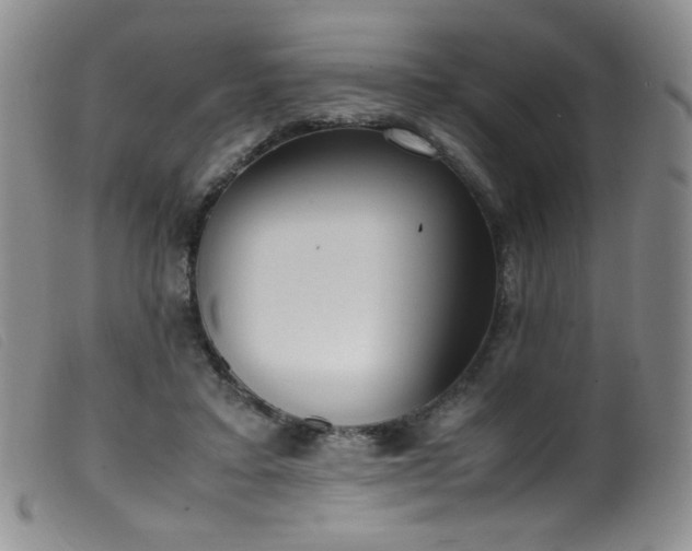 X0000099550403200805161457