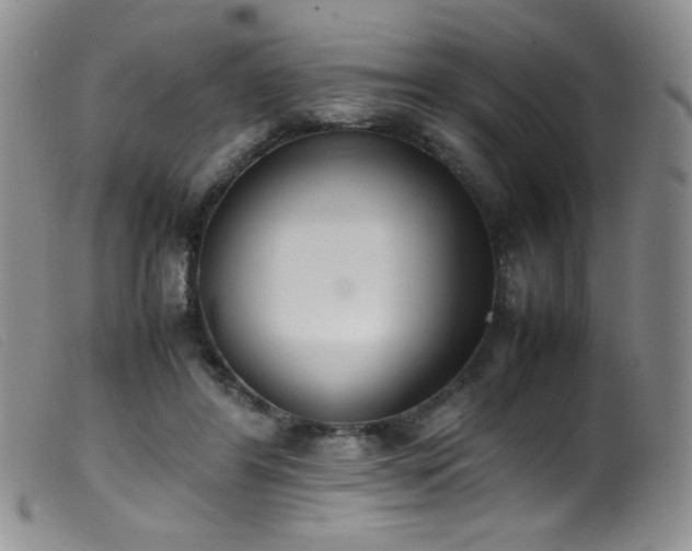 X0000099550404200805161457