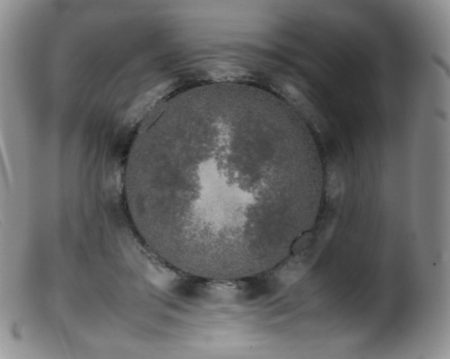 X0000099550405200805161457