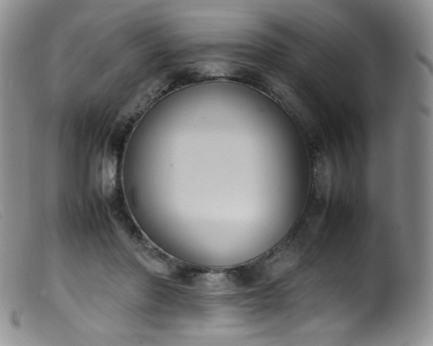 X0000099550406200805161457