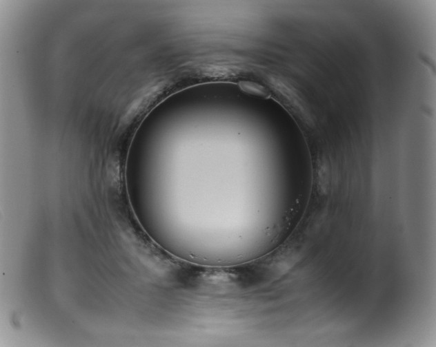 X0000099550407200805161457